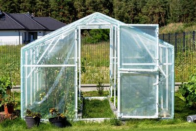 Why More Americans Are Building Backyard Greenhouses