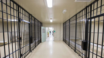 'Dogs Live Better Than We Do': Belarusian Asylum Seeker Reveals Life Inside Virginia ICE Detention Centre