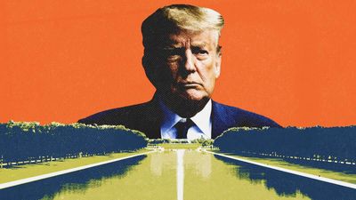 Reflecting Pool Debacle Is a Shorthand for Trump's Failing Second Term