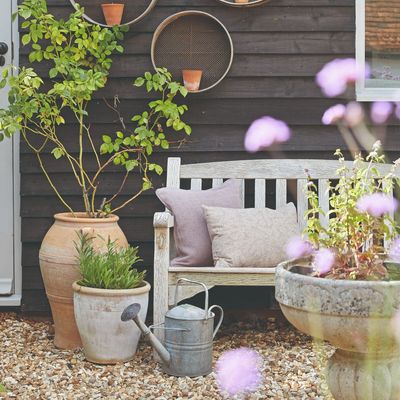How to protect potted plants in a heatwave – 7 expert tips to stop containers drying out when temperatures soar