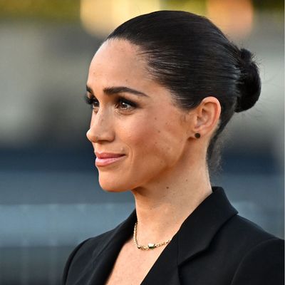 Prince Harry Reveals the Two Things Meghan Markle Prayed to Princess Diana For During Emotional Gravesite Visit