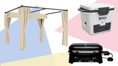 I added these 'affordable luxury' items to my garden last year – I'm not sure how I'd cope without them now