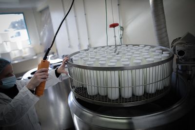 Raw Milk Sickened More Than 80 People in Six Months: Here's What Pasteurization Actually Prevents