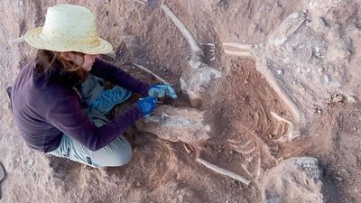 Archaeologists discover Roman soldier buried inside a 5,000-year-old Spanish fortress