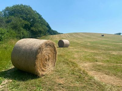 Country diary: Even in a heatwave, haymaking is a race against time