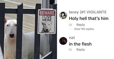 79 People Who Wrote Hilarious Comments That Are Impossible To Read With A Straight Face