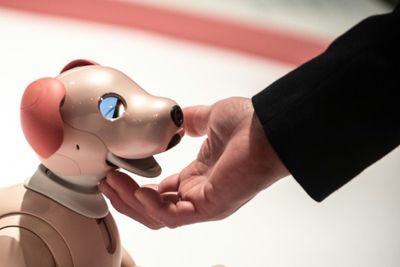 Japan sales of robot puppy 'aibo' discontinued