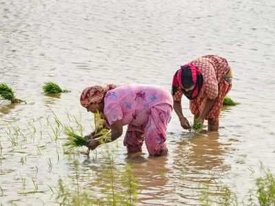 Maharashtra cabinet clears draft bill to recognise women farmers, widen welfare access