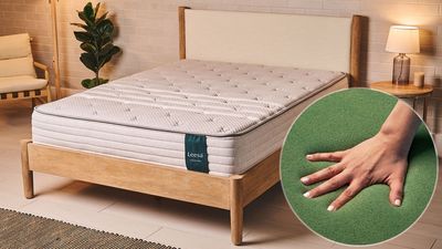 Leesa is overhauling its mattress lineup with eco-friendly 'GreenFlex foam' — why it's a must for cleaner sleep and the planet