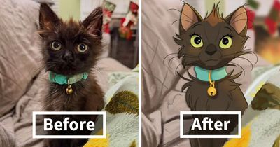 People Send Pictures Of Their Pets To This Artist To Get Them “Disneyfied” (28 New Pics)
