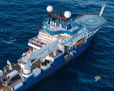 ‘Chock full of incredible animals’: marine expedition uncovers 31 new species in two weeks