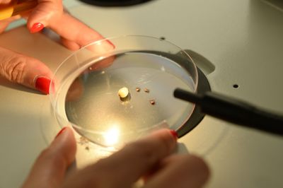 Tick Bites Are Sending More Americans to Emergency Rooms Than Ever Before This Summer