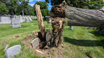 Storm discovery: Grave hidden for more than 100 years uncovered after New York storm topples giant tree