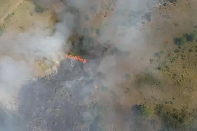 Blaze tears through former Soviet tank range in Germany – and it can’t be put out