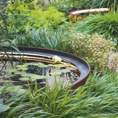 Can a pond cool a garden down? Experts say it could work overtime to make your outdoor space more comfortable