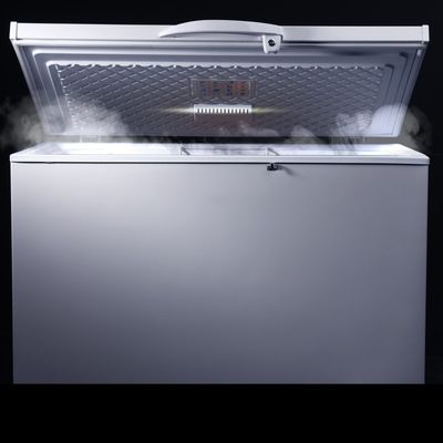 How a Chest Freezer Pays for Itself in Under a Year