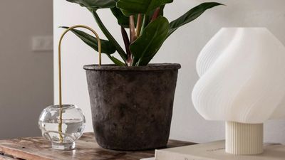 These Clever 'Plant Straws' Will Look After Your Houseplants While You're Away and in Hot Weather — And They Look Good While Doing It