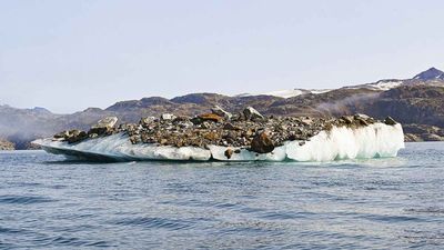 A surprising Arctic discovery shows melting icebergs are quietly building hidden neighborhoods on the ocean floor