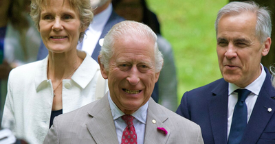 Is King Charles Personally Earning From Offshore Wind? The Truth Behind the Crown Estate's Record £1.2bn Profit