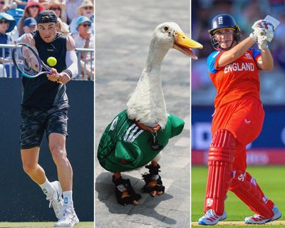 Sports quiz of the week: heat, animals, money and a big week at the World Cup