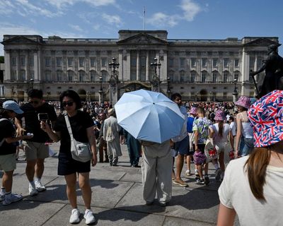 State functions, offices and tourists: plans for revamped Buckingham Palace