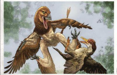 T. Rex or a squirrel? A bizarre dinosaur discovery is challenging what we know about ancient predators