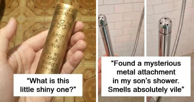 71 Times People Got Way Too Close To Something They Should Have Avoided