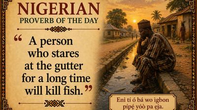 Nigerian proverb of the day: "A person who stares at the gutter for a long time will kill fish" and a lesson in patience, persistence and reward