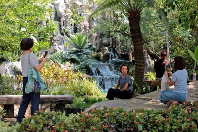 Flat domestic tourism projected
