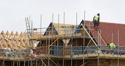 Scottish construction firms 'pushed to the brink' by Labour government policies