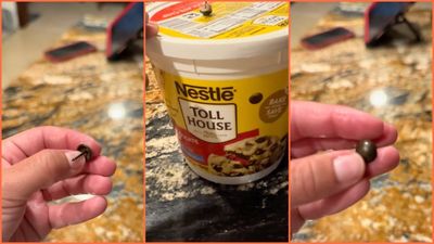 California woman buys Nestlé Toll House cookie dough. Then she bites down and immediately knows something is very wrong: ‘a thumbtack’