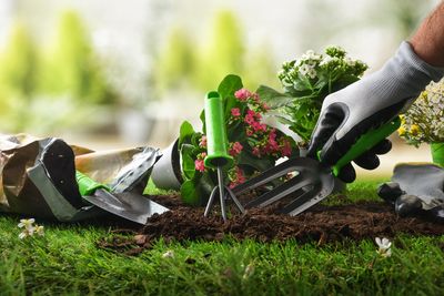 Why More People Are Turning Tiny Yards Into Productive Gardens