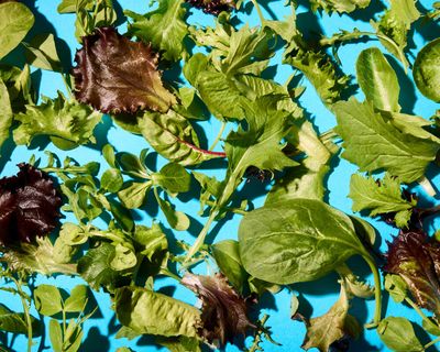 ‘I ate the whole bag like a packet of crisps’: the best supermarket salad bags, tasted and rated