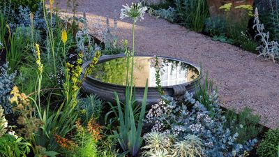5 Places You Should Never, Ever Put a Water Feature in Your Garden — And How to Choose the Best Spot