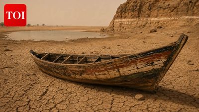 In the early 1900s, fishermen at the edge of the Sahara saw a desert lake start to die back; by 2000, Lake Chad had shrunk by 90%, and a series of NASA studies traced the cause to a deadly combination of irrigation and a drying climate