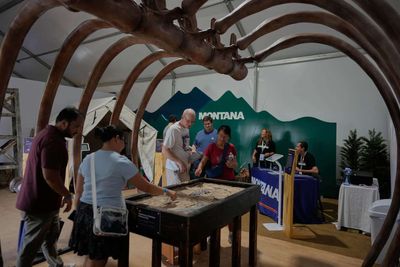 Dinosaur's rib cage is star attraction at Great American State Fair run by Donald Trump's Freedom 250 to celebrate 250th anniversary of U.S. All about gigantic item