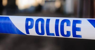 Woman sexually assaulted in early morning as police seal off city centre lane