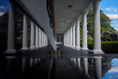 Trump spent nearly $700K in Parks money from taxpayers to fix White House walkway: report