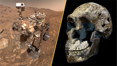 Science news this week: Life on Mars, weird water and a curious human cousin