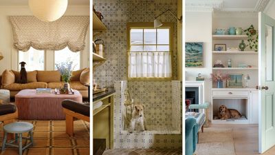 A Dog Lives Here: Inside Beautifully Designed Homes Made for Four-Legged Family Members
