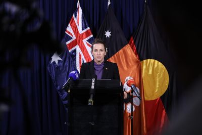 Is the Northern Territory a ‘mini Trump-style government’?