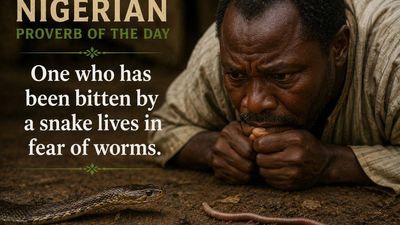 Nigerian proverb of the day: "One who has been bitten by a snake lives in fear of worms" and why old wounds make us fear harmless things