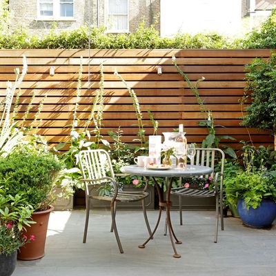 How I'm keeping my container plants well watered in July without needing to water them every day – and none of them involve a hose pipe