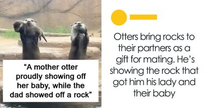 41 Surprising Facts About Our World That Are Truly Incredible