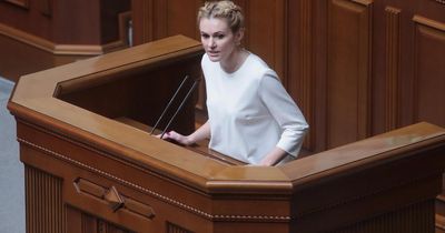 Meet the Ukrainian MP on a mission in search of peace