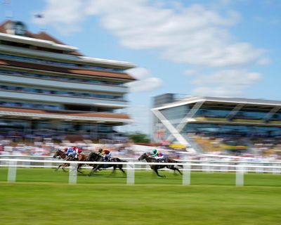 The curious case of the cremation ashes left at Newbury racecourse burger van