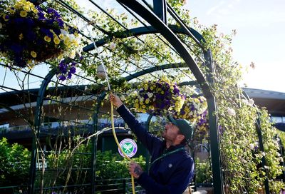 Wimbledon's most iconic flowers under threat as London heatwaves drive need for drought-friendly plants
