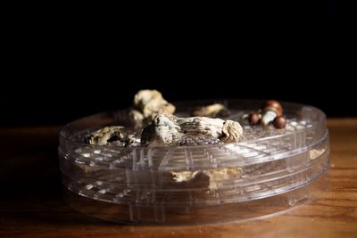 Psilocybin Could Become the First FDA-Approved Psychedelic Therapy Within Months — Here Is What Patients Need to Know