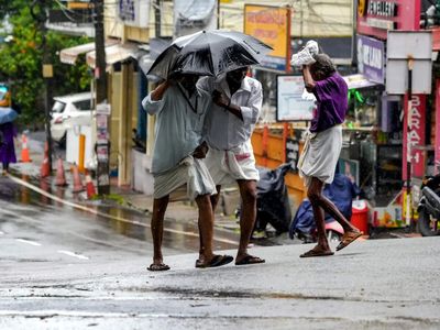 Kerala rain watch: Orange alert for 11 districts, warnings to continue through first week of July