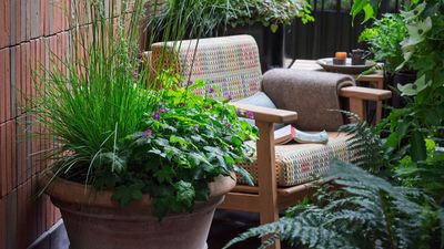 5 Trends in Container Planting for 2026 — These Designer-Approved Looks Encapsulate the Shift Towards a New Aesthetic